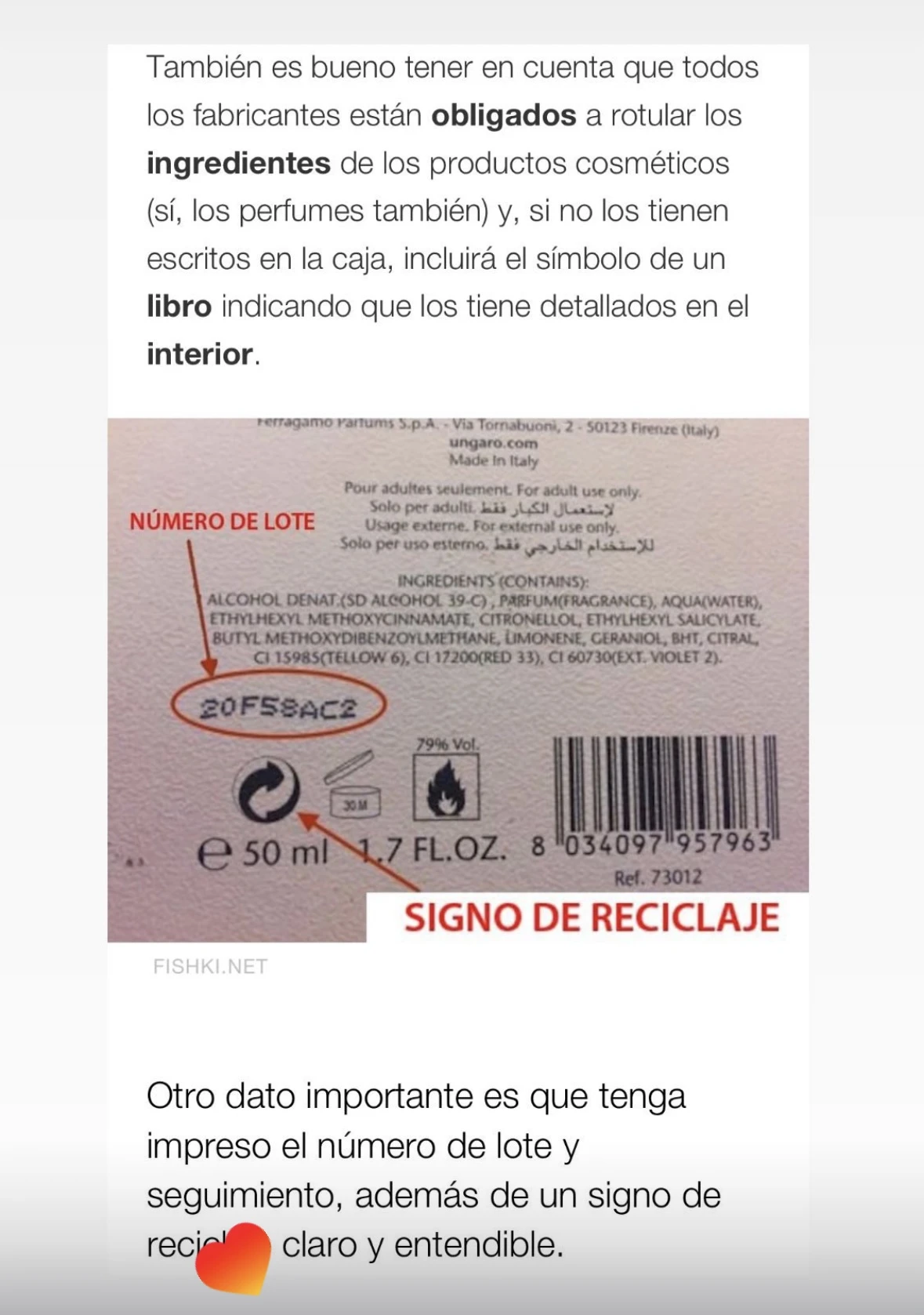Paso 5